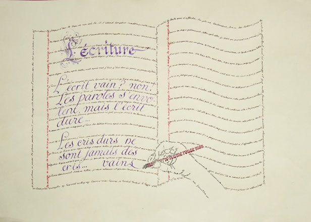 DSCF7448 Piou wordpress